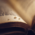 Booklice Infestation on an old book