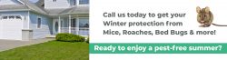 winter protection from mice roaches etc