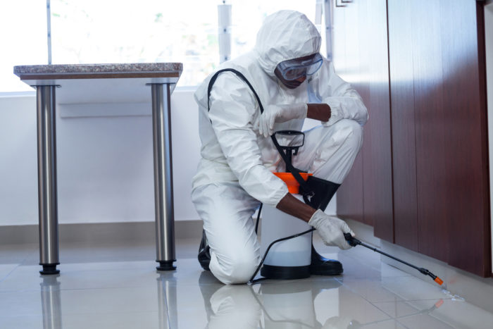 Eco-Friendly Pest Control Solutions for Environmentally Conscious Alaskans