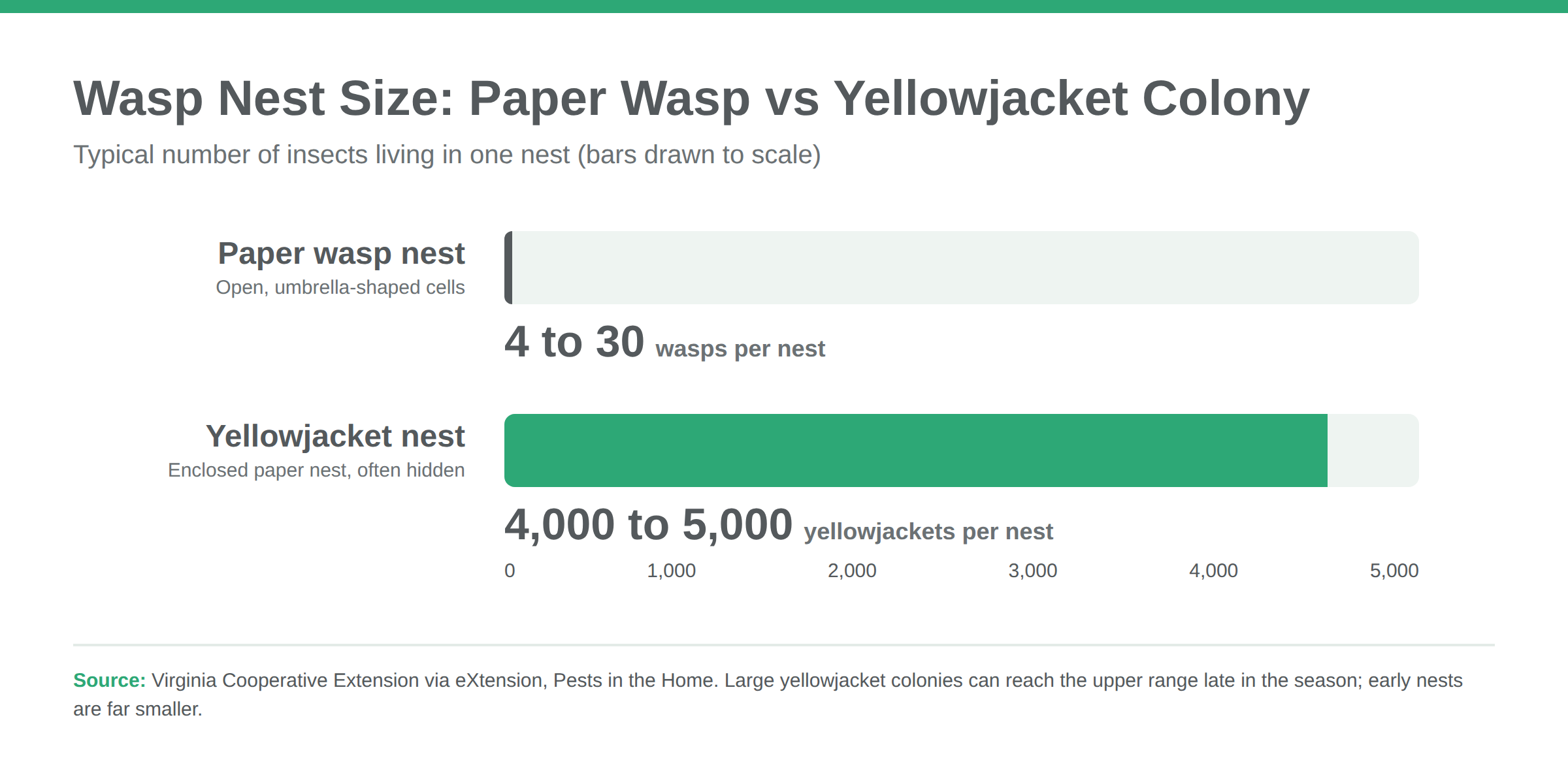 Bar chart comparing a paper wasp nest of 4 to 30 wasps with a yellowjacket nest of 4,000 to 5,000 yellowjackets